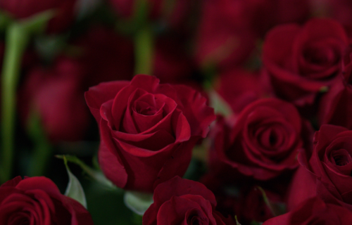 Pontos Cardeais – Toninho Aribati