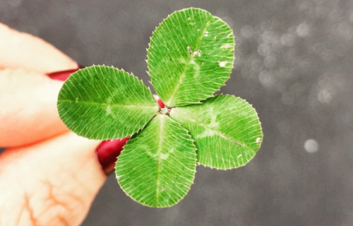 Ter sorte ou ter azar – Toninho Aribati