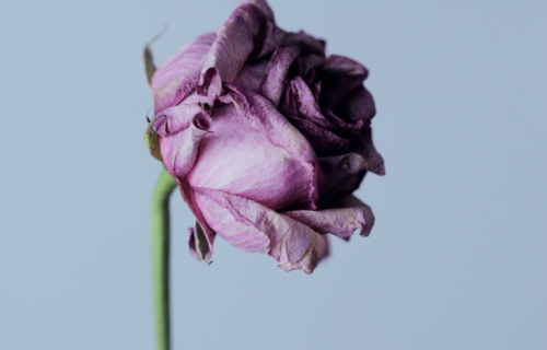 Crônica Poética Carme – Toninho Aribati